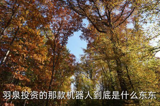 羽泉投資的那款機(jī)器人到底是什么東東