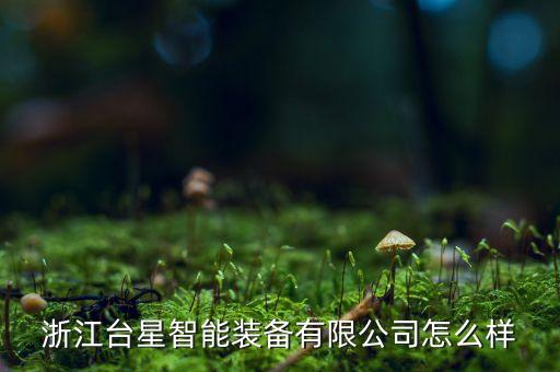 浙江臺星智能裝備有限公司怎么樣