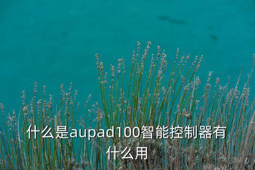 什么是aupad100智能控制器有什么用