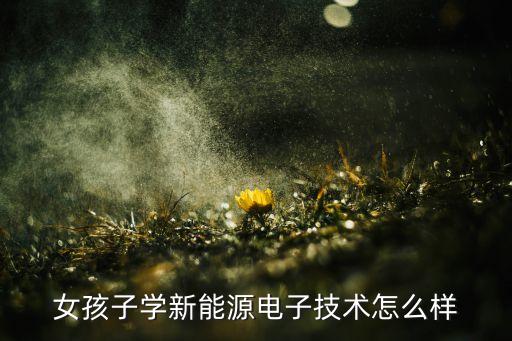 純電智能科技怎么樣，女孩子學新能源電子技術怎么樣