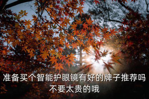 準備買個智能護眼鏡有好的牌子推薦嗎不要太貴的哦