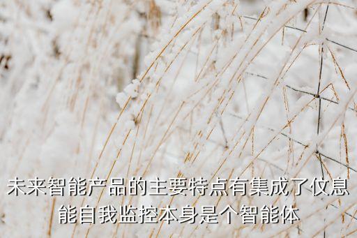 未來(lái)智能產(chǎn)品的主要特點(diǎn)有集成了伩息能自我監(jiān)控本身是個(gè)智能體