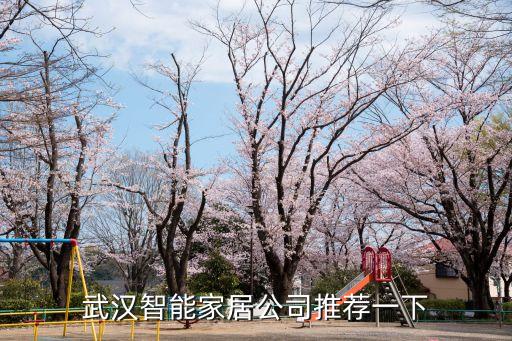 武漢有哪些智能科技公司，武漢智能家居公司都有哪些