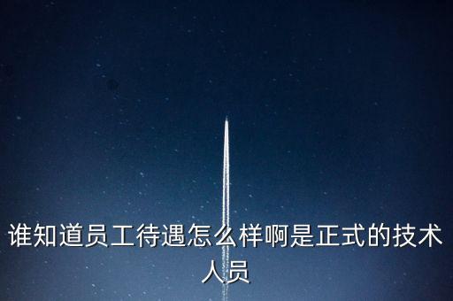 誰(shuí)知道員工待遇怎么樣啊是正式的技術(shù)人員