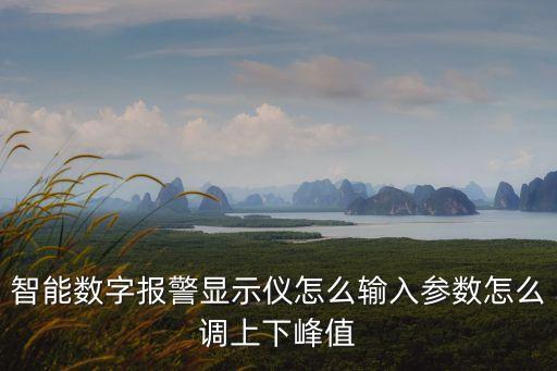 智能數(shù)字報警顯示儀怎么輸入?yún)?shù)怎么調(diào)上下峰值