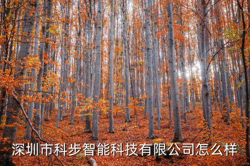 深圳智能科技公司怎么樣，消客天下深圳智能科技有限公司怎么樣