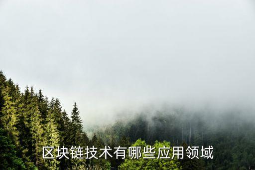 區(qū)塊鏈技術(shù)有哪些應(yīng)用領(lǐng)域