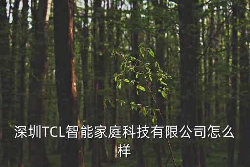 深圳TCL智能家庭科技有限公司怎么樣