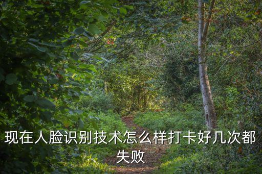 丞風(fēng)智能科技怎么樣，現(xiàn)在人臉識別技術(shù)怎么樣打卡好幾次都失敗