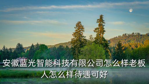 安徽藍光智能科技有限公司怎么樣老板人怎么樣待遇可好