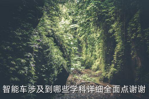 智能車涉及到哪些學(xué)科詳細(xì)全面點謝謝