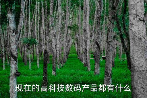 高科技電子智能產(chǎn)品有什么，高科技產(chǎn)品有哪些