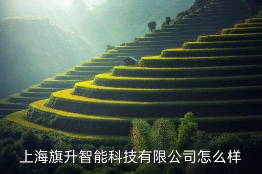 上海旗升智能科技有限公司怎么樣