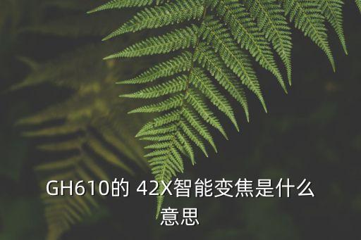 GH610的 42X智能變焦是什么意思
