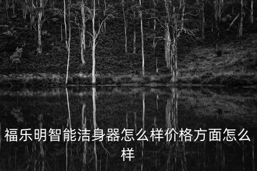 福樂明智能潔身器怎么樣價格方面怎么樣