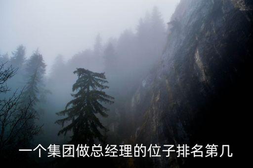 一個集團(tuán)做總經(jīng)理的位子排名第幾