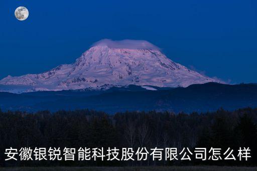 安徽銀銳智能科技股份有限公司怎么樣