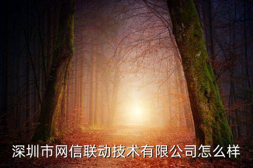 網(wǎng)信智能科技怎么樣，神州網(wǎng)信技術(shù)有限公司怎么樣