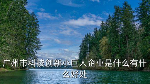 廣州市科技創(chuàng)新小巨人企業(yè)是什么有什么好處