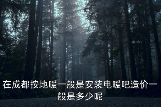 在成都按地暖一般是安裝電暖吧造價(jià)一般是多少呢