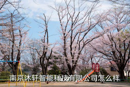 南京諾軒智能科技怎么，南京諾依曼智能科技有限公司怎么樣