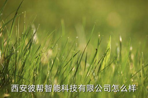 西安彼幫智能科技有限公司怎么樣