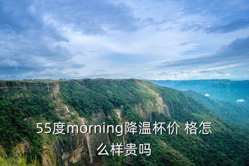 55度morning降溫杯價(jià) 格怎么樣貴嗎