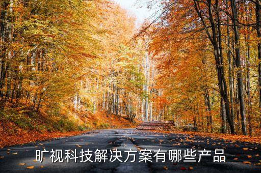 曠視科技解決方案有哪些產(chǎn)品
