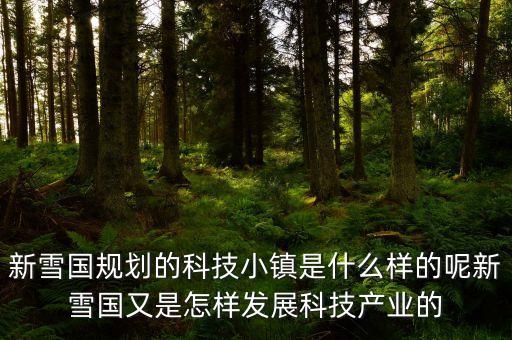 新雪國規(guī)劃的科技小鎮(zhèn)是什么樣的呢新雪國又是怎樣發(fā)展科技產業(yè)的