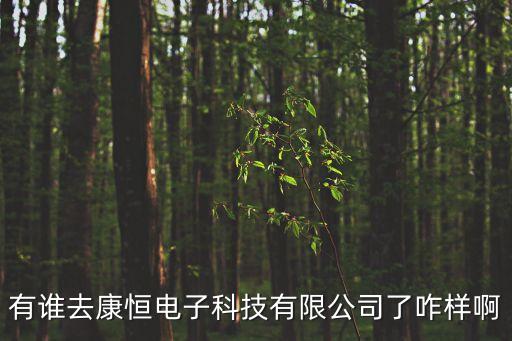 沈陽恒康智能科技怎么樣，有誰去康恒電子科技有限公司了咋樣啊