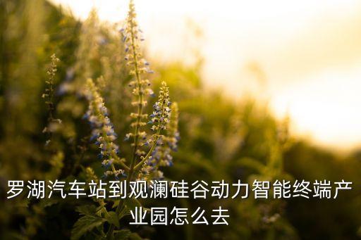 羅湖汽車站到觀瀾硅谷動(dòng)力智能終端產(chǎn)業(yè)園怎么去