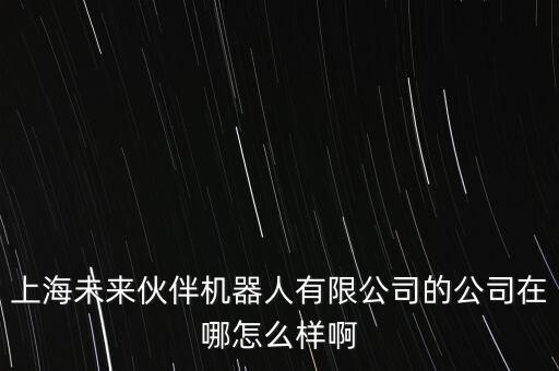 上海未來伙伴機(jī)器人有限公司的公司在哪怎么樣啊