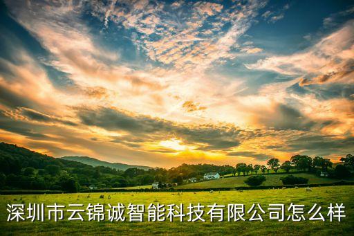 深圳市云錦誠智能科技有限公司怎么樣