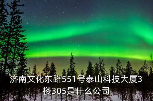 濟(jì)南文化東路551號(hào)泰山科技大廈3樓305是什么公司