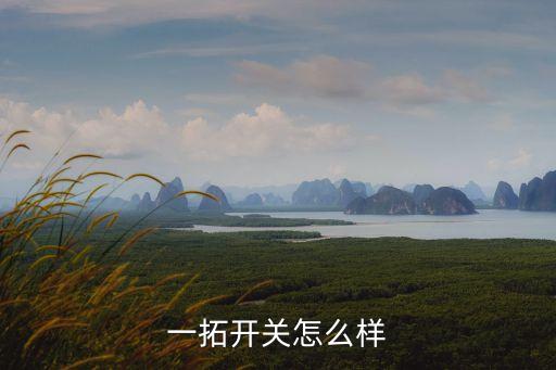 一拓開關怎么樣