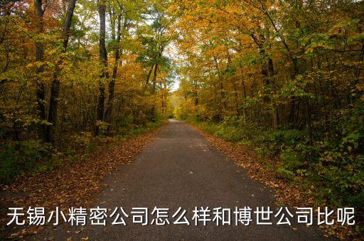 無錫雨果智能科技怎么樣，無錫小精密公司怎么樣和博世公司比呢