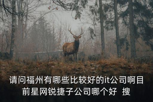 請問福州有哪些比較好的it公司啊目前星網(wǎng)銳捷子公司哪個好  搜