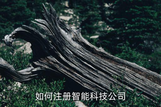 如何注冊智能科技公司