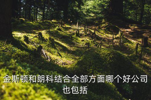 金斯頓和朗科結合全部方面哪個好公司也包括