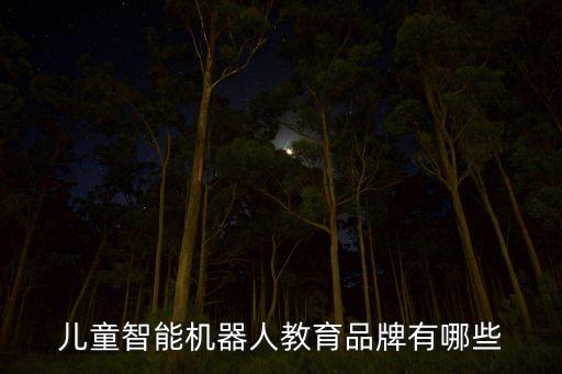 兒童智能機(jī)器人教育品牌有哪些