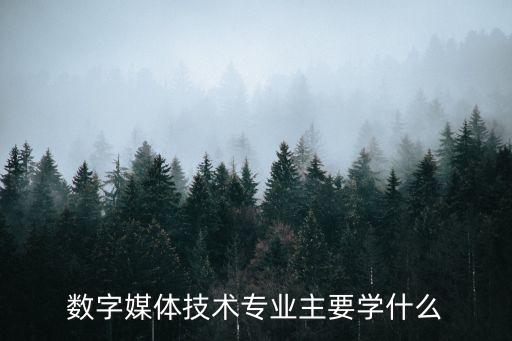 數(shù)字媒體技術(shù)專業(yè)主要學(xué)什么