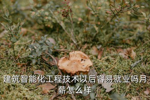 建材智能科技學(xué)徒工資多少，做智能家居的技術(shù)員一般什么工資待遇