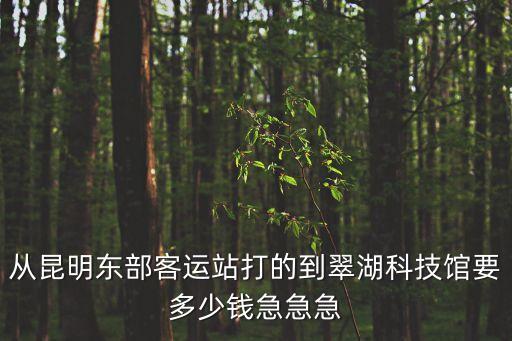 從昆明東部客運(yùn)站打的到翠湖科技館要多少錢急急急