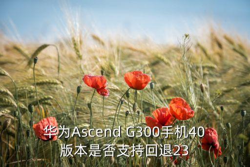 華迅智能科技怎么樣，華為Ascend G300手機(jī)40版本是否支持回退23