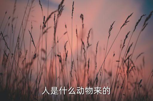 人是什么動物來的