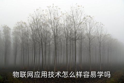 物聯(lián)網(wǎng)應用技術怎么樣容易學嗎