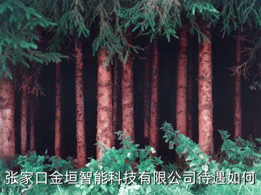 張家口金垣智能科技有限公司待遇如何