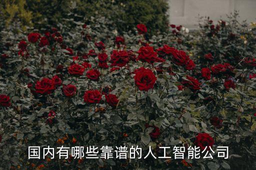 國內(nèi)有哪些靠譜的人工智能公司