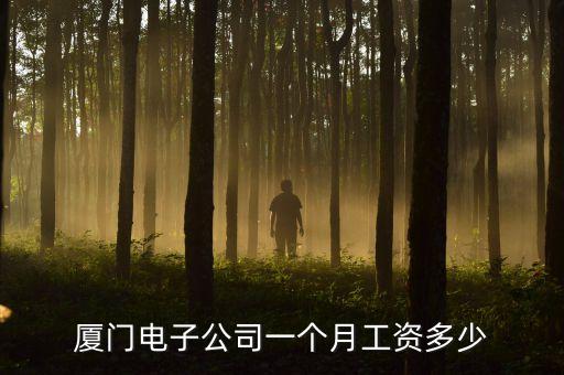 廈門電子公司一個月工資多少