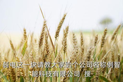 弱電這一塊請(qǐng)教大家給個(gè)公司名稱例智能科技有限公司  搜